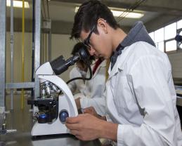 Bachillerato Tecnológico en Citología e Histología de la UdeG, único en el país