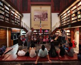 Preparan cursos de verano para infantes y adolescentes en distintos espacios de la Red Universitaria