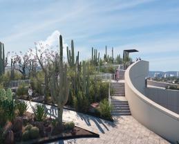 Jardines del Museo de Ciencias Ambientales reciben premio internacional en paisajismo