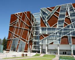 Sistema Universitario de Bibliotecas de la UdeG, un puente para el acceso al conocimiento