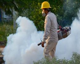 Repunte de dengue a causa de factores cíclicos