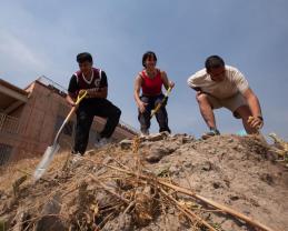 Convocan a participar en la Jornada Nacional de Tequios en espacios deportivos