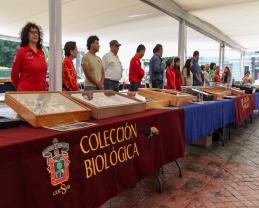 Preparan año de actividades cívicas, culturales y deportivas en la UdeG