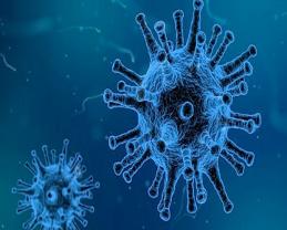 Confirma InDRE presencia en México de la mutación de SARS-CoV-2 detectada por la UdeG y de la variante brasileña P.2