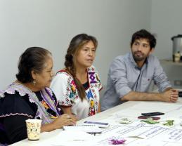 Buscan comunidades indígenas el reconocimiento de la medicina tradicional