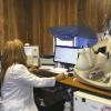 Realiza Programa de Salud Organizacional exámenes médicos a personal del SEMS