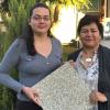 Obtiene el SEMS su primera patente