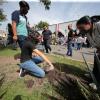 Siembra “Árbol de la esperanza” comunidad de la Preparatoria 15 frente a Casa Jalisco