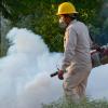 Repunte de dengue a causa de factores cíclicos