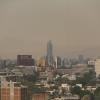 Condicionan factores naturales la acumulación de contaminantes en el AMG